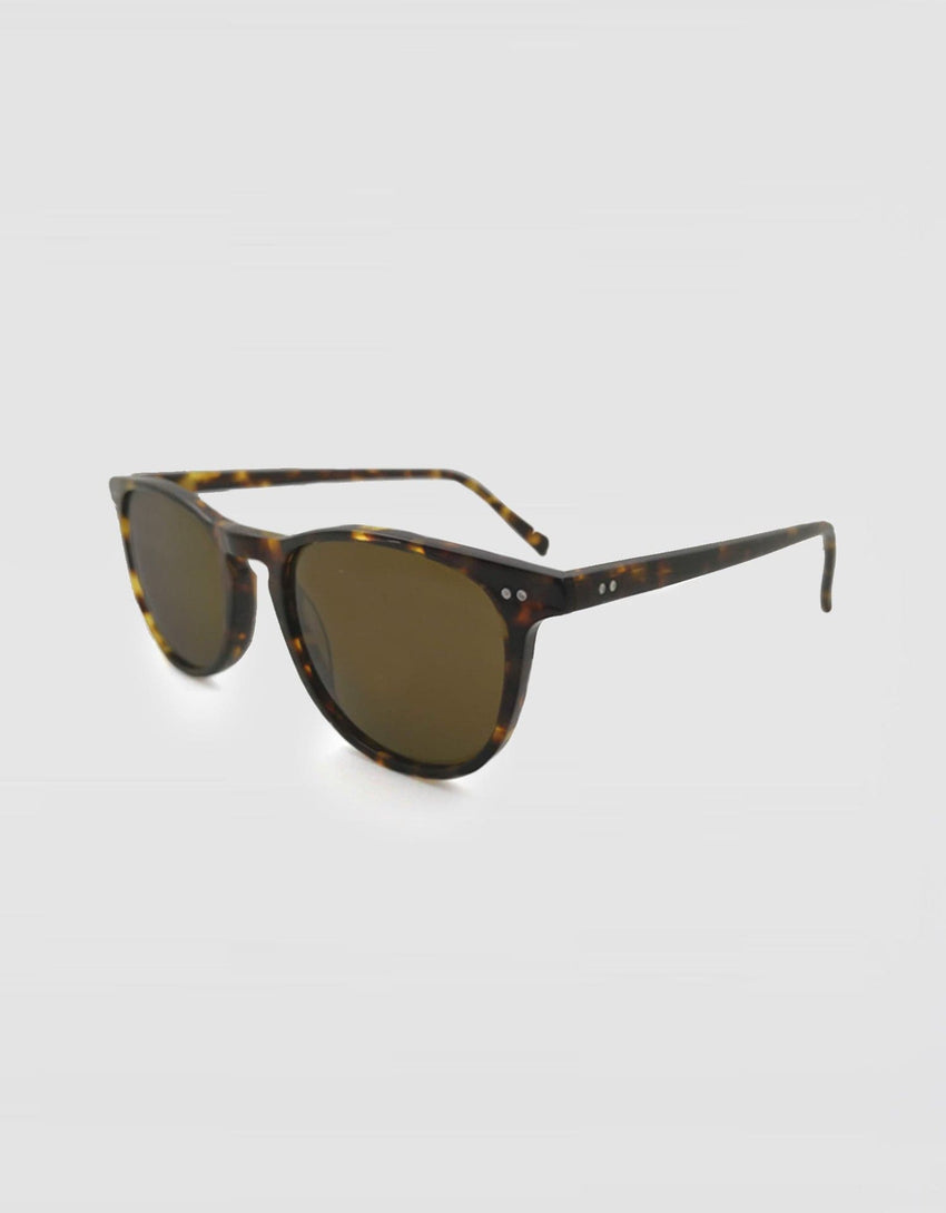 Portsea Polarized Sunglasses | Polarized Sunglasses for Men