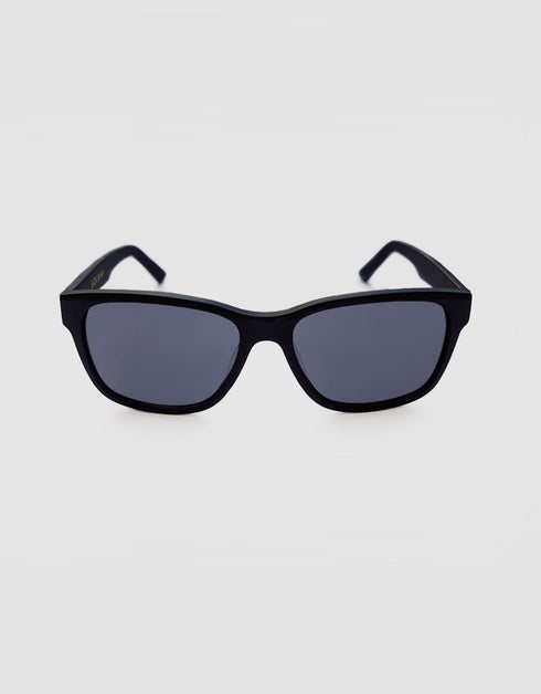 Sorrento Polarized Sunglasses